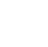 匈牙利中欧大学 国际化科研环境
